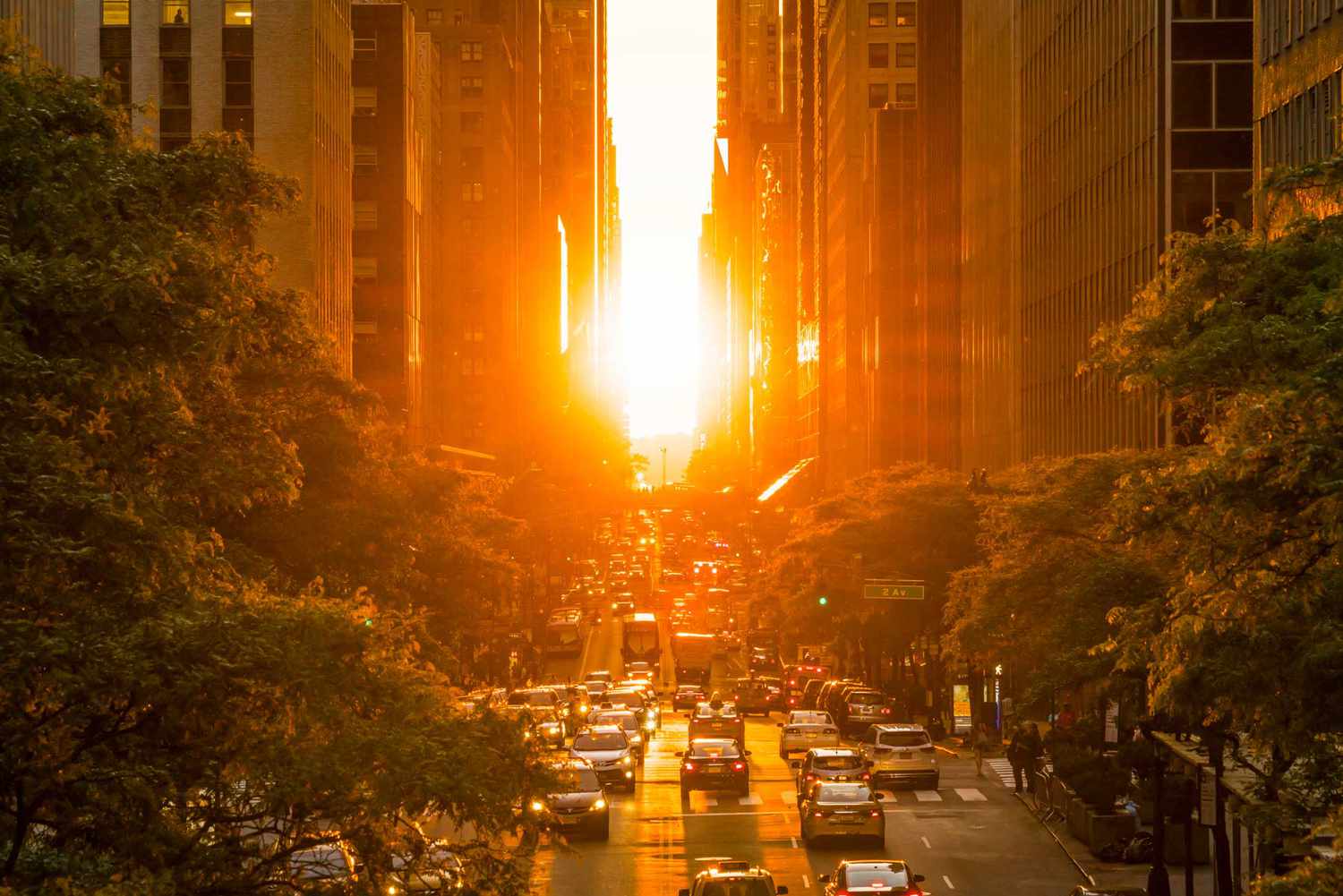 Greetings, Dear Sun